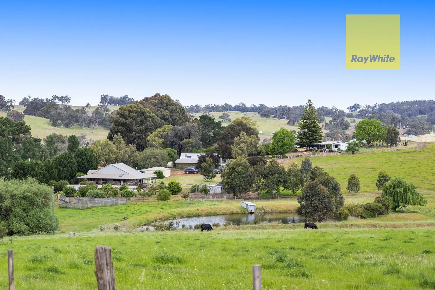 Main view of Homely rural property listing, 24 Hamilton Road, Winnejup WA 6255