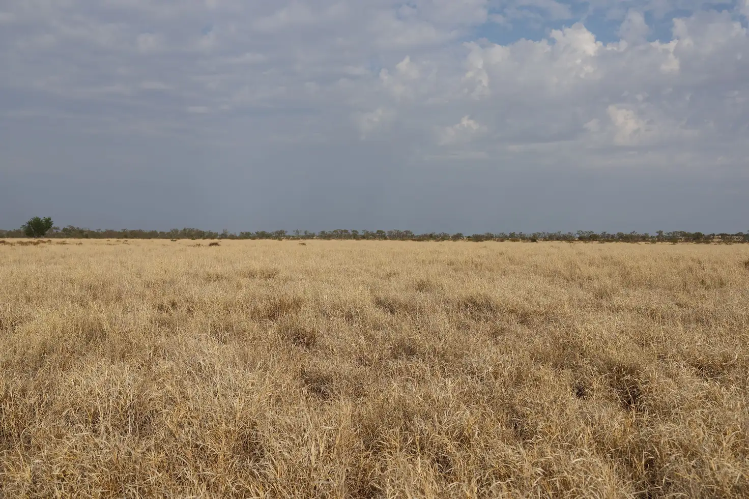 Main view of Homely rural property listing, 2085 Blackall Jericho Road, Blackall QLD 4472