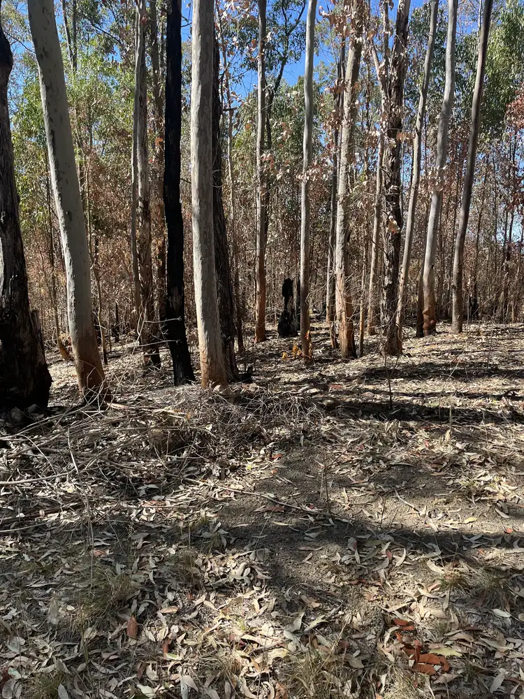 Third view of Homely rural property listing, 75 Deep Creek Road, Markwell NSW 2423