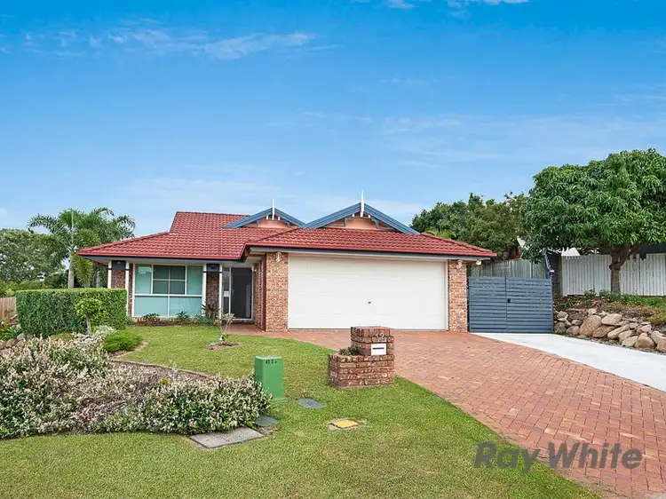 12 Mohr Court, Petrie QLD 4502