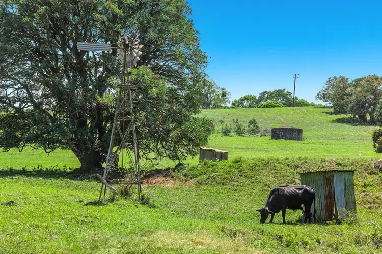 Sixth view of Homely rural property listing, 2435 Dunoon Road, Rosebank NSW 2480