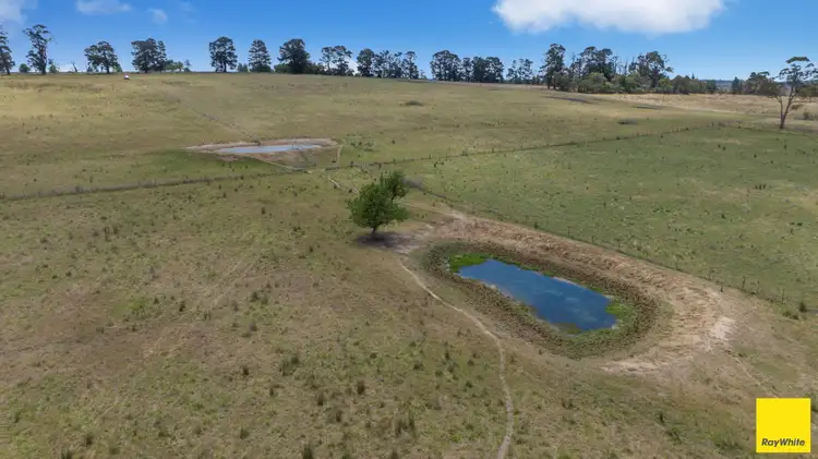 Second view of Homely land listing, 165 Traceys Road, Kentucky NSW 2354