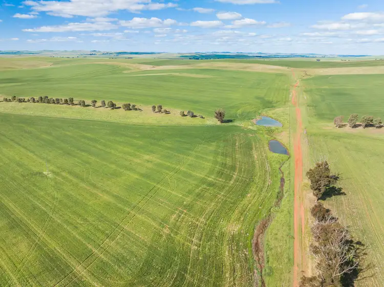 Second view of Homely rural property listing, 'Spring Gully' R M Williams Way, Spalding SA 5454