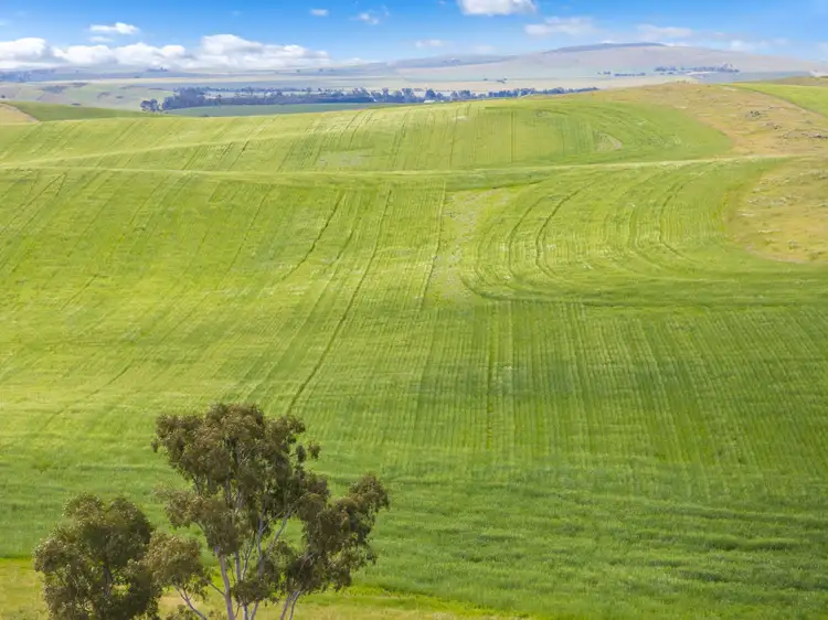 Fourth view of Homely rural property listing, 'Spring Gully' R M Williams Way, Spalding SA 5454