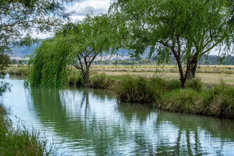 Third view of Homely rural property listing, 216 Ganthorpe Road, Mount Alford QLD 4310