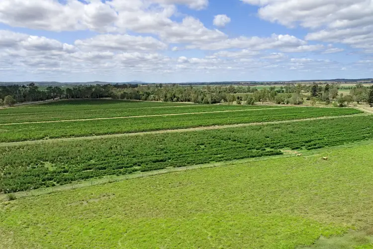 Fifth view of Homely rural property listing, 'Greenleaf' Currajong Farms Road, Wallaville QLD 4671