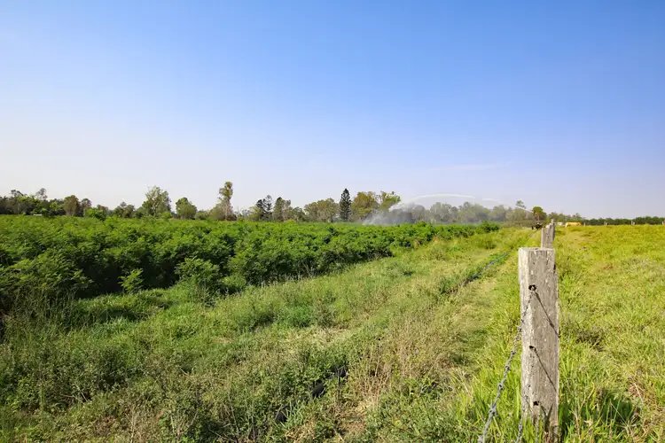 Sixth view of Homely rural property listing, 'Greenleaf' Currajong Farms Road, Wallaville QLD 4671