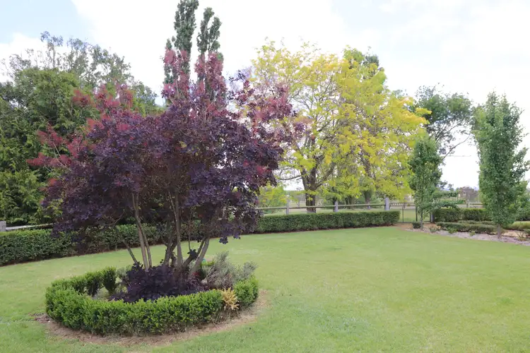 Seventh view of Homely rural property listing, 740 Strathbogie Road, Glen Innes NSW 2370