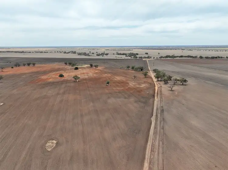 Third view of Homely rural property listing, 593 MUNNS Road, Baradine NSW 2396