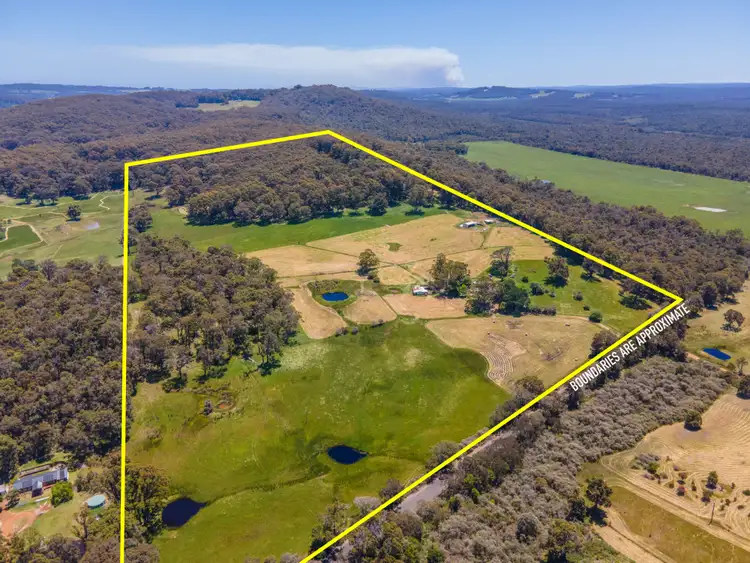 Third view of Homely rural property listing, 81 Mount Lindesay Road, Scotsdale WA 6333