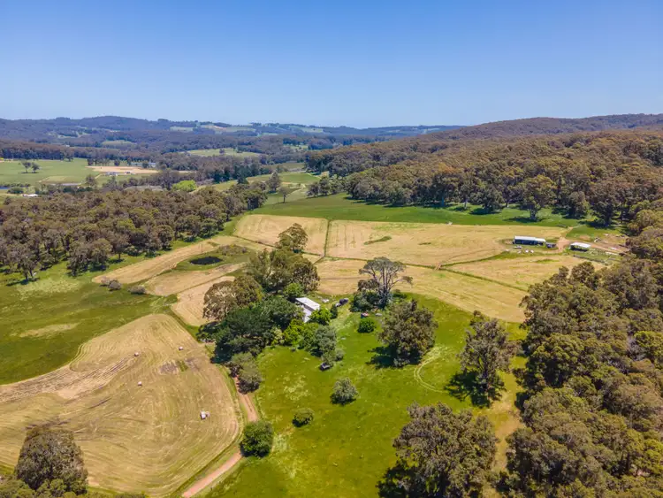Fourth view of Homely rural property listing, 81 Mount Lindesay Road, Scotsdale WA 6333