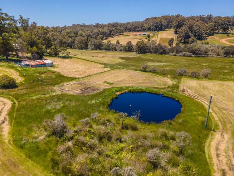 Fifth view of Homely rural property listing, 81 Mount Lindesay Road, Scotsdale WA 6333