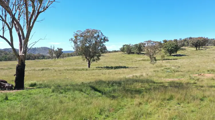 Main view of Homely rural property listing, 1058 Old Bundarra Road, Barraba NSW 2347