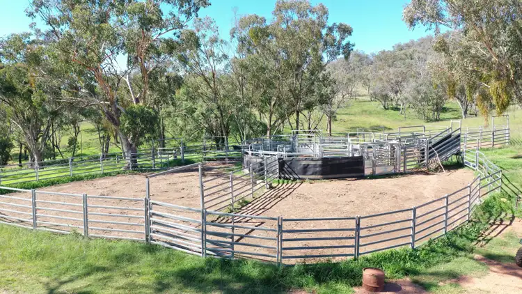 Second view of Homely rural property listing, 1058 Old Bundarra Road, Barraba NSW 2347