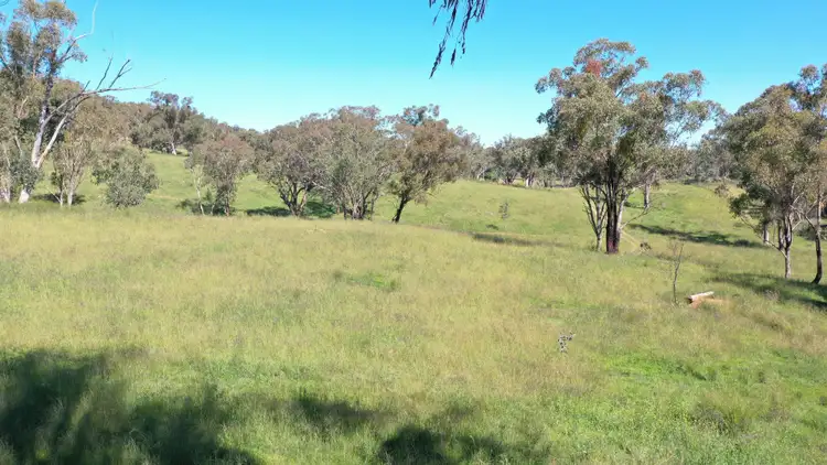 Third view of Homely rural property listing, 1058 Old Bundarra Road, Barraba NSW 2347