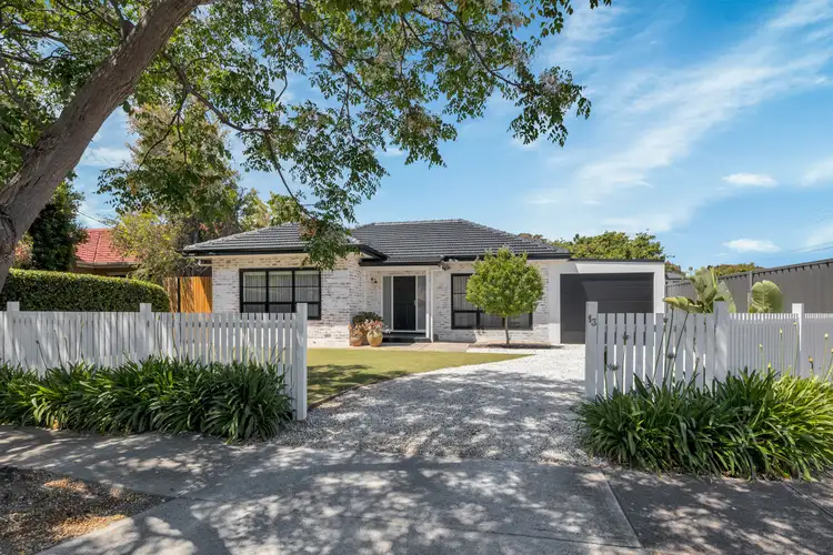 13 Launceston Avenue, Warradale SA 5046