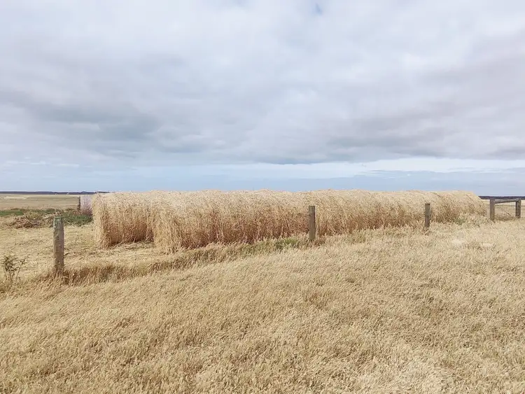 Second view of Homely rural property listing, 2648 Springdale Road, Jerdacuttup WA 6346