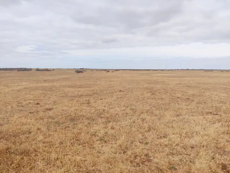Fourth view of Homely rural property listing, 2648 Springdale Road, Jerdacuttup WA 6346