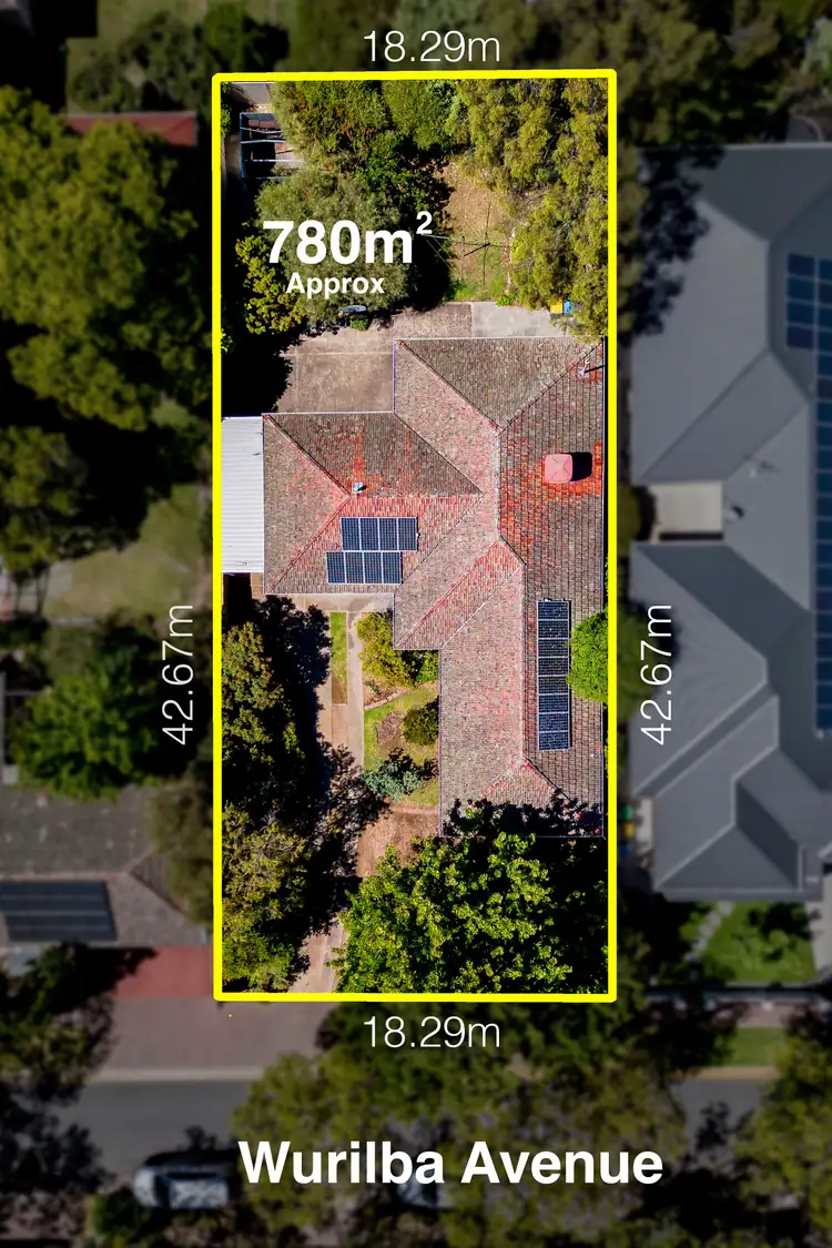 1 Wurilba Avenue, Hawthorn SA 5062