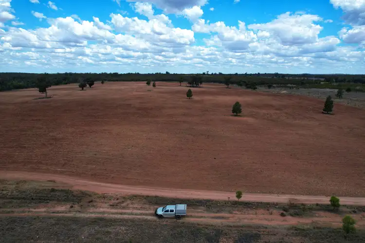 Fourth view of Homely rural property listing, 'Arakoola' 146 Bolams Road, Tullamore NSW 2874