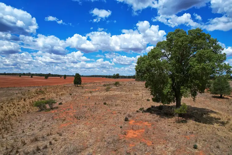 Fifth view of Homely rural property listing, 'Arakoola' 146 Bolams Road, Tullamore NSW 2874