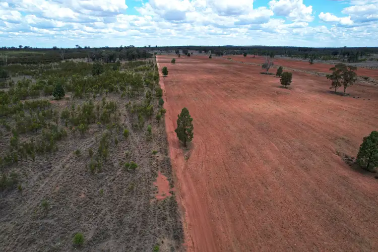 Seventh view of Homely rural property listing, 'Arakoola' 146 Bolams Road, Tullamore NSW 2874