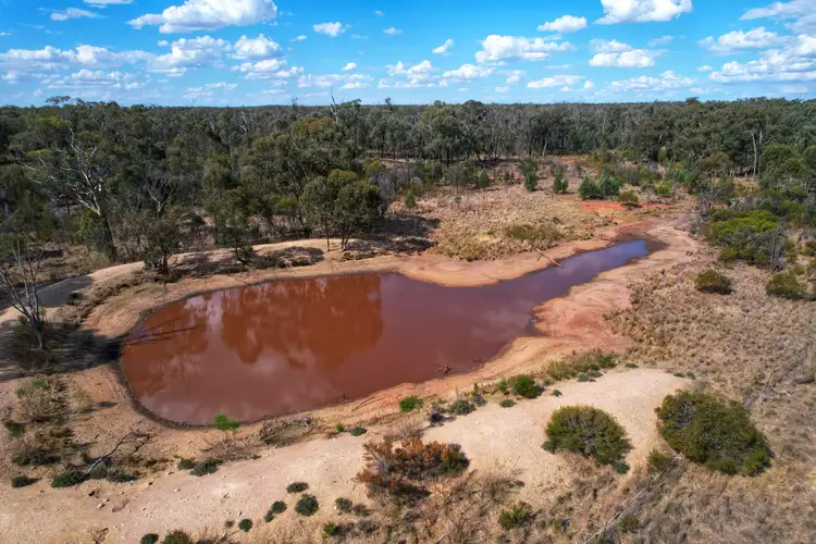 Main view of Homely rural property listing, 'Dalray' Pietschs Road, Tullamore NSW 2874