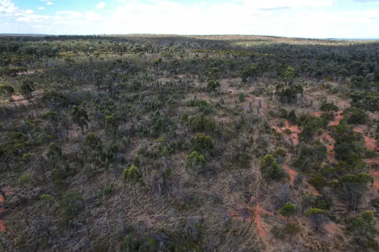 Third view of Homely rural property listing, 'Dalray' Pietschs Road, Tullamore NSW 2874