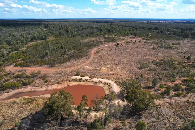 Fifth view of Homely rural property listing, 'Dalray' Pietschs Road, Tullamore NSW 2874