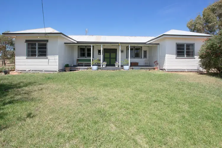 Main view of Homely rural property listing, 86 Louttits Lane, Koraleigh NSW 2735