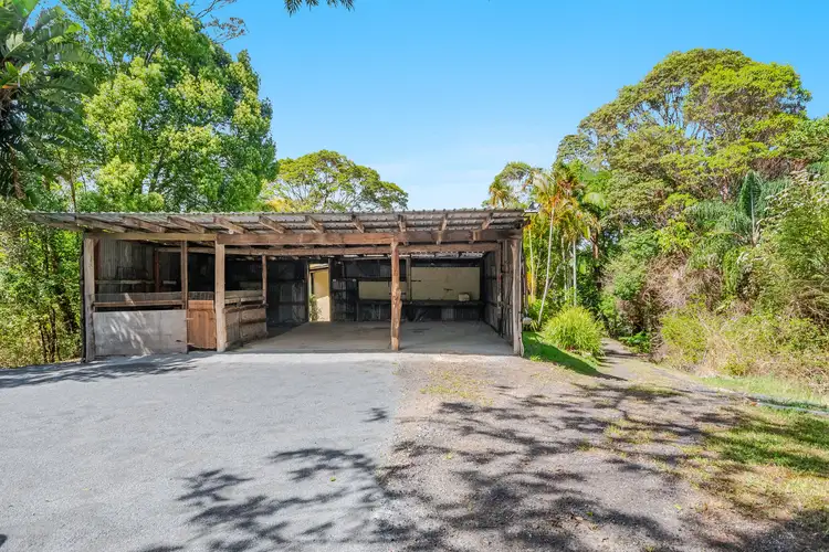 Sixth view of Homely house listing, 245 Blakeneys Road, Stokers Siding NSW 2484