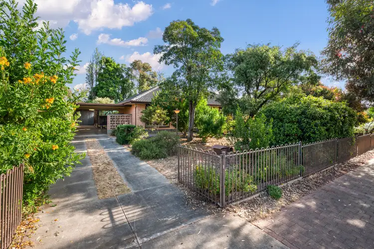 74 Cresdee Road, Campbelltown SA 5074