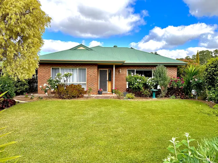 Main view of Homely house listing, 11 Green Street, Bordertown SA 5268