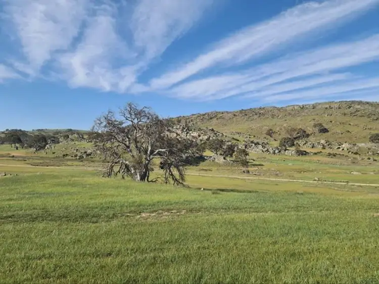 Fifth view of Homely rural property listing, 362 Rhine Park Road, Eden Valley SA 5235