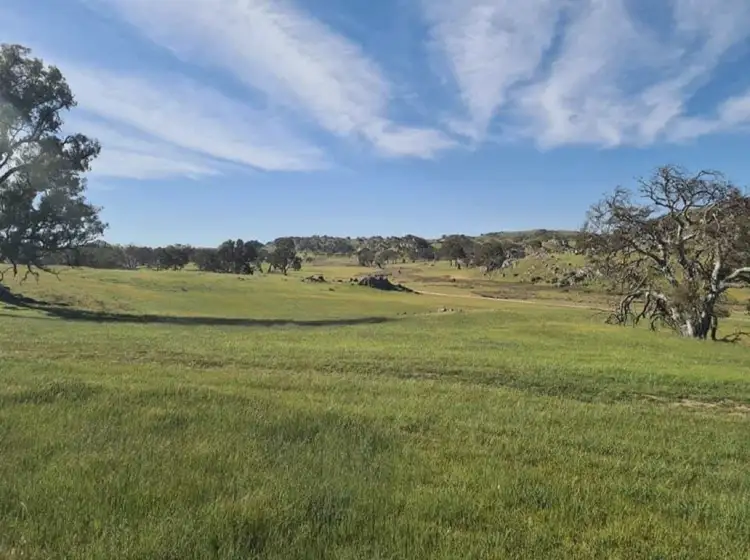 Sixth view of Homely rural property listing, 362 Rhine Park Road, Eden Valley SA 5235