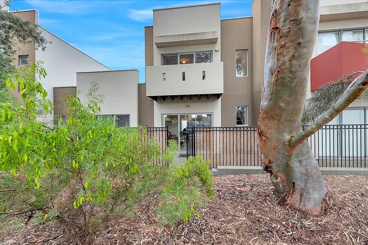 Main view of Homely townhouse listing, 5/55 Grasswren Way, Mawson Lakes SA 5095
