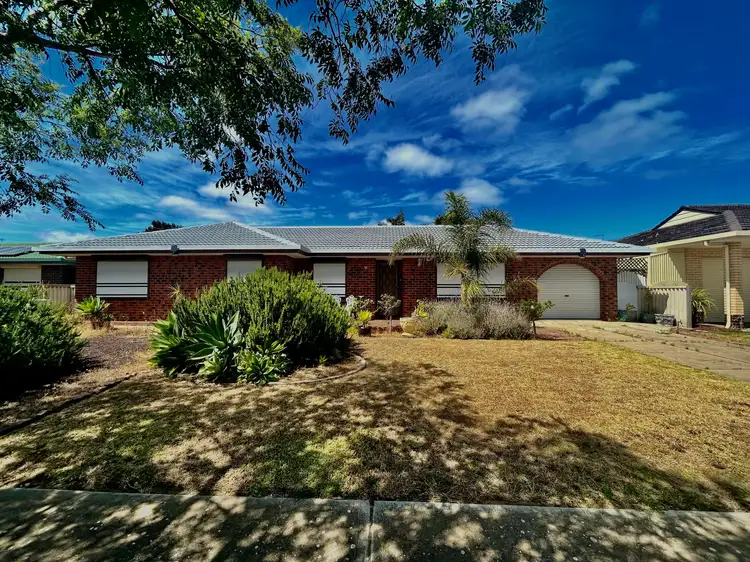 Main view of Homely house listing, 14 Tomkinson Road, Semaphore Park SA 5019