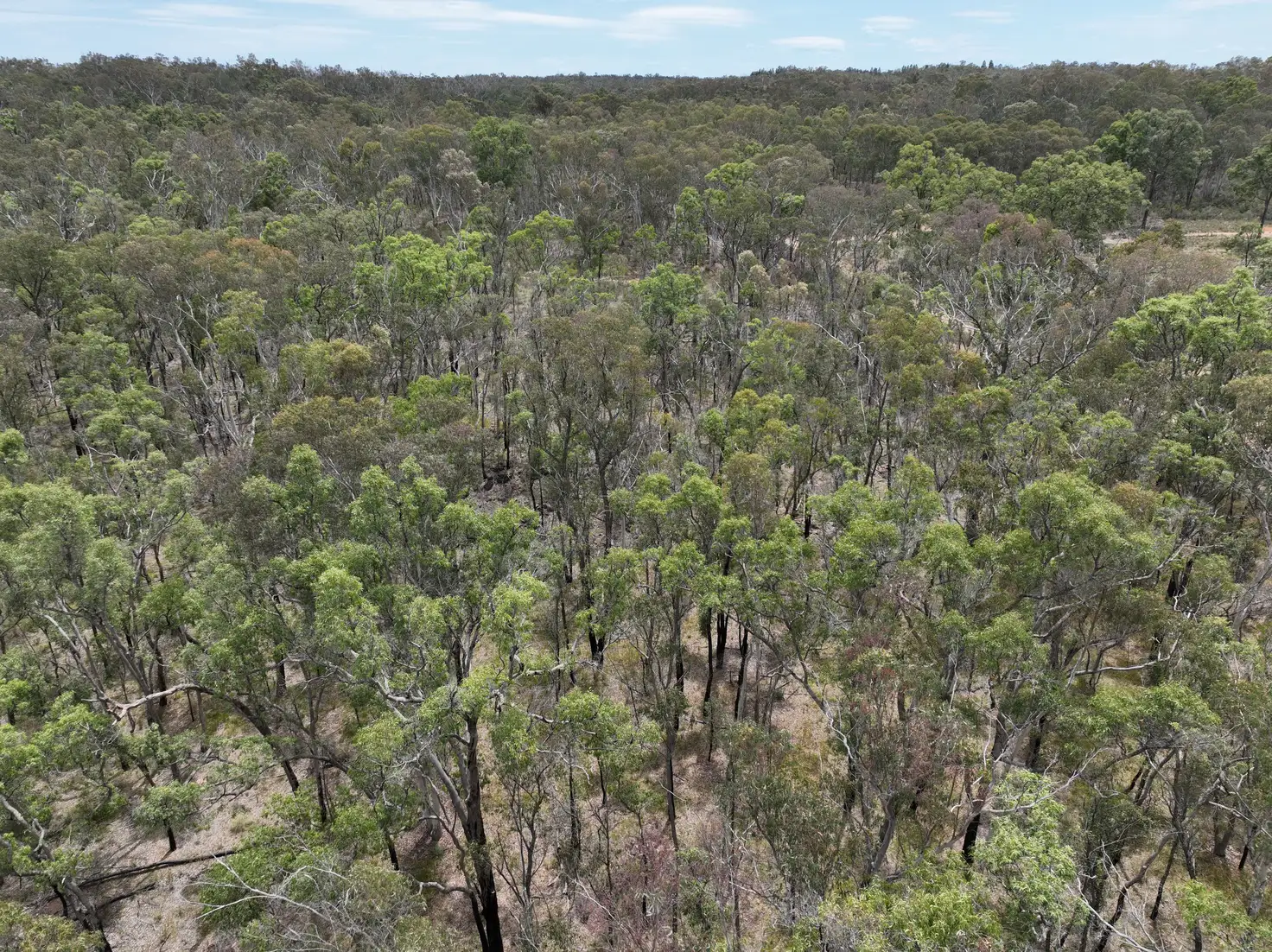 Main view of Homely land listing, 96 Shawns Creek Road, Coonabarabran NSW 2357