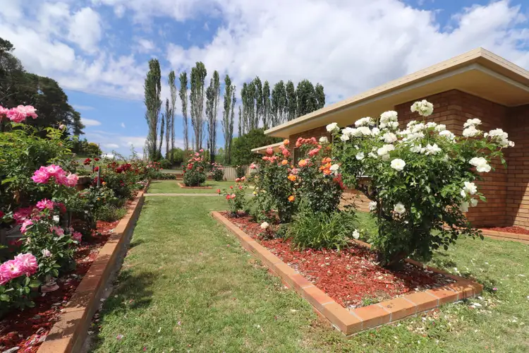 Third view of Homely house listing, 180 Macquarie Street, Glen Innes NSW 2370