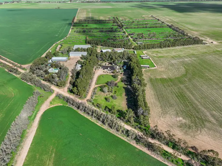 382 Rodda Road, Boors Plain SA 5554
