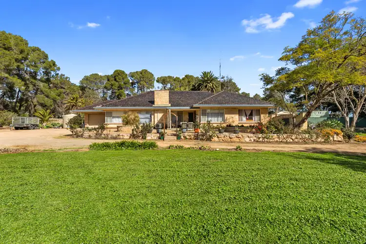 Second view of Homely rural property listing, 382 Rodda Road, Boors Plain SA 5554
