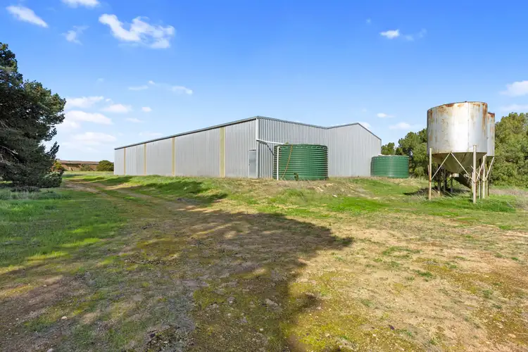 Fourth view of Homely rural property listing, 382 Rodda Road, Boors Plain SA 5554