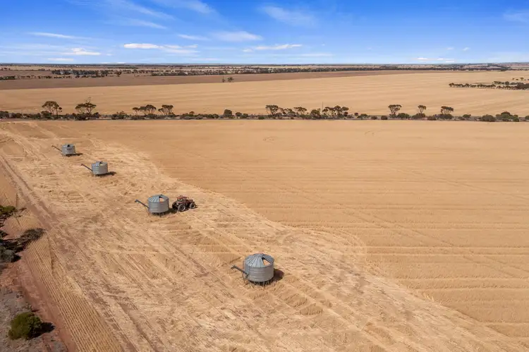 Fifth view of Homely rural property listing, 181,182,183 & 235 Rodda Road, Boors Plain SA 5554