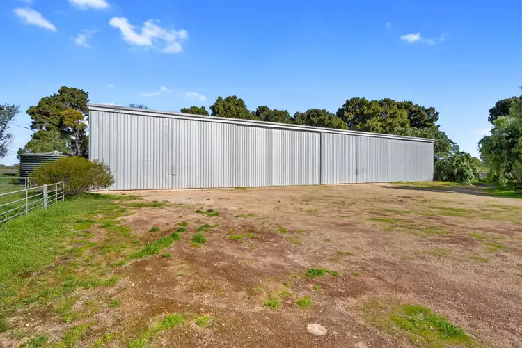 Fifth view of Homely rural property listing, 382 Rodda Road, Boors Plain SA 5554