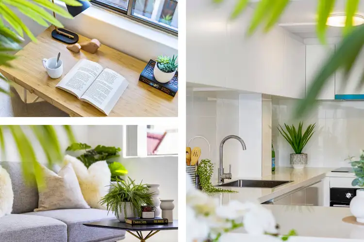 Sixth view of Homely unit listing, 24/492-500 Elizabeth Street, Surry Hills NSW 2010
