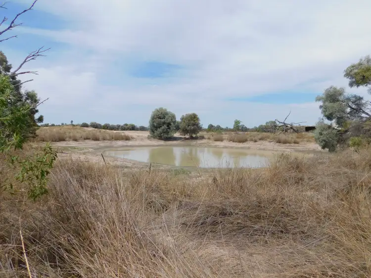Main view of Homely rural property listing, 132 - 137 Roaches Road, Tara QLD 4421