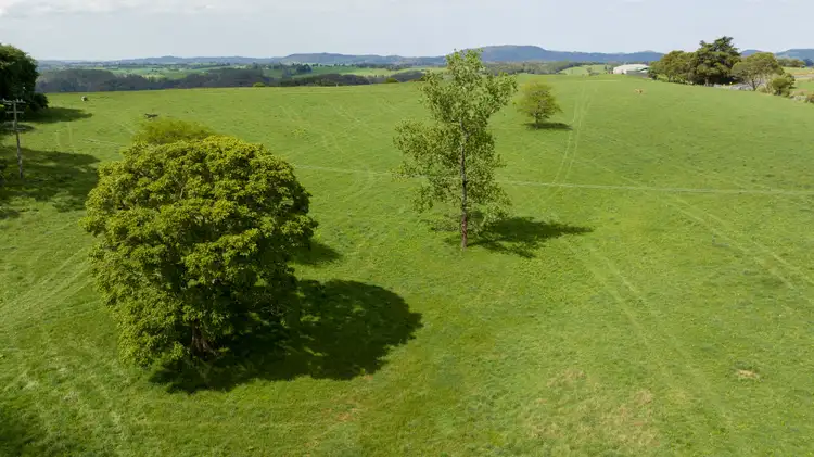 Second view of Homely rural property listing, 4690 Waterfall Way, Fernbrook, Dorrigo NSW 2453