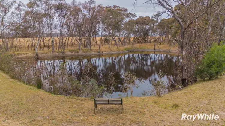 Third view of Homely house listing, 103 Soldier Road, Ravenswood VIC 3453
