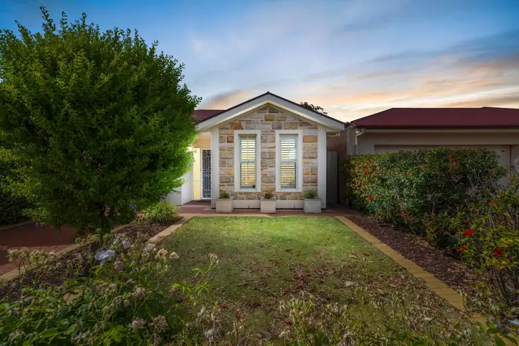 3 Cobham Avenue, Morphettville SA 5043