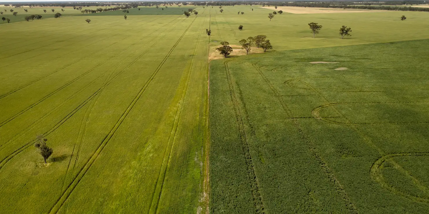 Main view of Homely rural property listing, 162 Pier Point Road, Custon SA 5269